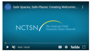 Safe Spaces, Safe Places: Creating Welcoming and Inclusive Environments for Traumatized LGBTQ Youth