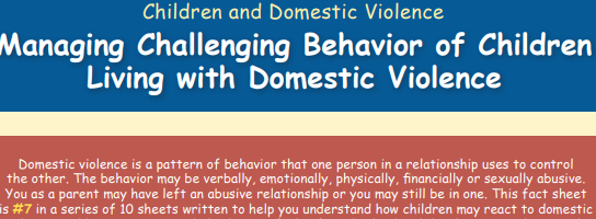 Children & Domestic Violence:  Managing Challenging Behavior of Children Living with Domestic Violence