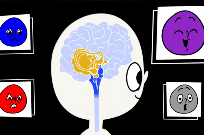 The Hand Model of the Brain
