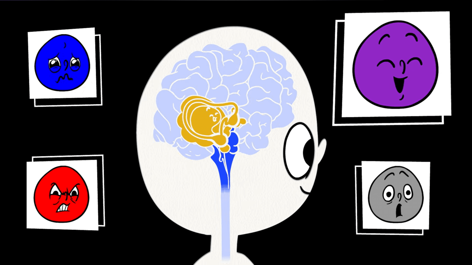 The Hand Model of the Brain